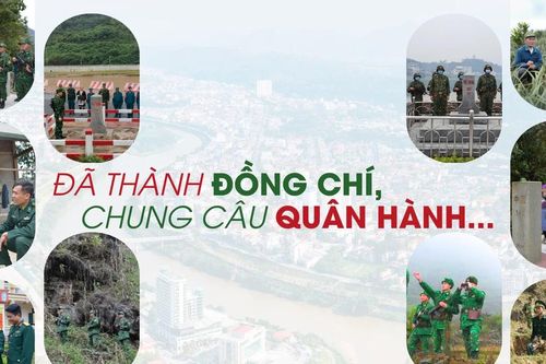 Đã thành đồng chí, chung câu quân hành...