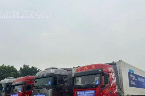 Đoàn phương tiện vận tải đường bộ qua biên giới tuyến 'Côn Minh - Lào Cai - Hải Phòng' đã đến Cửa khẩu Lào Cai