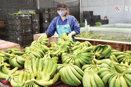 KỶ NIỆM 20 NĂM NGÀY THÀNH LẬP HUYỆN ÐAM RÔNG (2004-2024): Hiệu quả từ các chương trình mục tiêu quốc gia