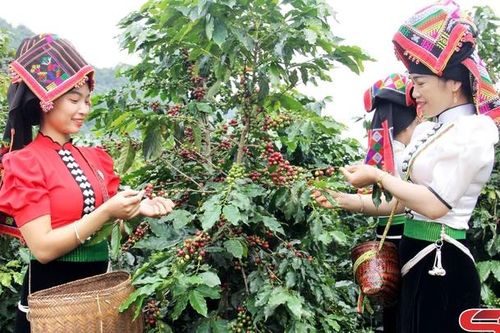 Phong trào thi đua dân vận khéo ở Thành phố
