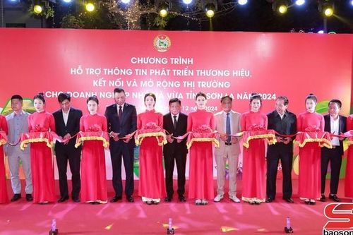 Hỗ trợ thông tin phát triển thương hiệu, kết nối và mở rộng thị trường cho doanh nghiệp nhỏ và vừa
