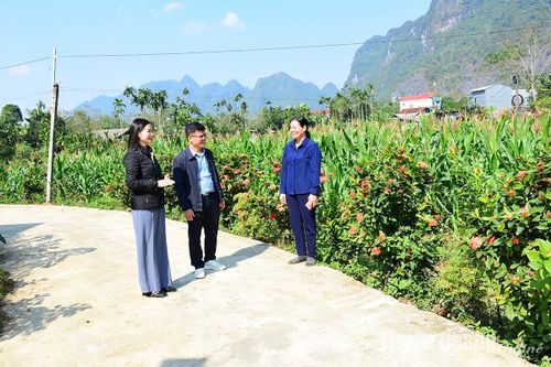 Trưởng thôn 4.0 ở Noong Phường