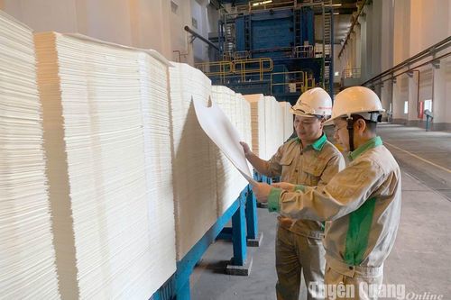 Bức tranh kinh tế 2024: Vượt bão ngoạn mục - Bài cuối: Bài học đoàn kết