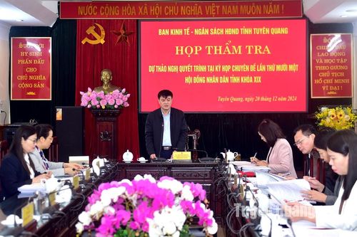 Thẩm tra các dự thảo nghị quyết trình kỳ họp chuyên đề HĐND tỉnh