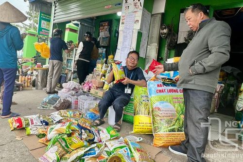 Dự trữ 820 tấn giống, phân bón phục vụ sản xuất vụ xuân
