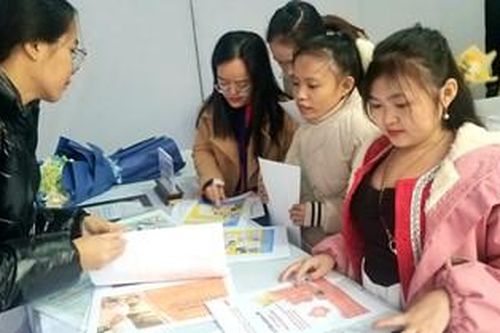 Ngày hội việc làm cho người khuyết tật
