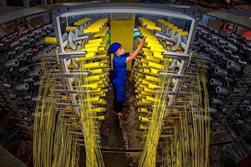 Các chính sách xanh của EU: Động lực và áp lực với hàng xuất khẩu Việt Nam