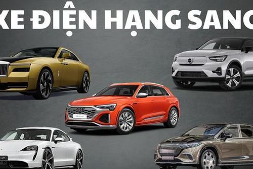 5 mẫu xe điện hạng sang ra mắt Việt Nam 2024