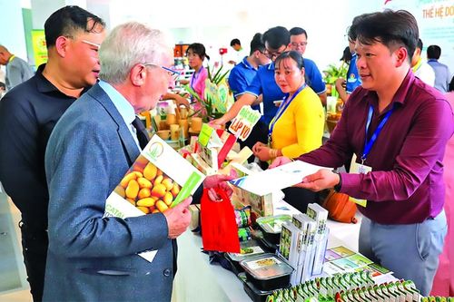 Mekong Connect 2024: Gắn kết thúc đẩy mối quan hệ hợp tác toàn diện