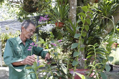 Tín dụng chính sách xã hội: Mang tính nhân văn, hợp với xu thế phát triển (Kỳ 2)