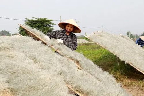 Quốc Oai phát triển sản phẩm OCOP thu hút du lịch