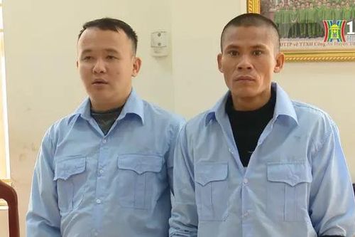 Thủ đoạn trộm cắp tinh vi tại chung cư mini