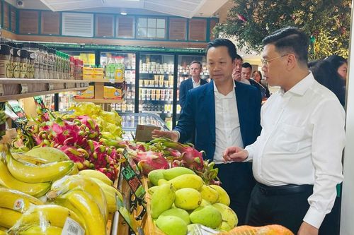 Menas Việt Nam chính thức khai trương siêu thị tích hợp cao cấp Mena Gourmet