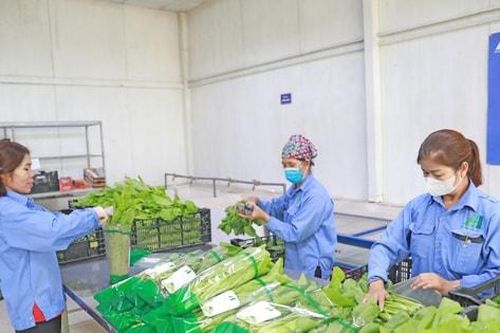 Tin tức đặc biệt trên báo in Hànôịmới ngày 20-12-2024