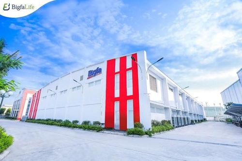 Bigfa - Hành trình gắn kết cộng đồng lan tỏa giá trị Việt