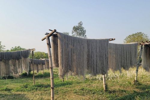 Làng miến Phú Diễn tất bật vào vụ Tết