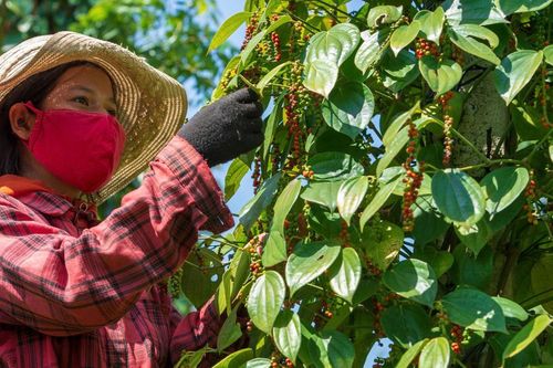 Hội LHPN huyện Lắk đồng hành cùng hội viên trẻ, có hoàn cảnh khó khăn