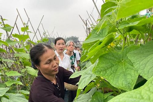 Trào lưu du lịch sinh thái nông nghiệp, nông thôn giúp nâng cao giá trị sản xuất, tăng thu nhập cho người dân