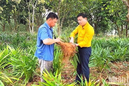 Điểm tựa để Nghệ An phát triển kinh tế nhanh, bền vững