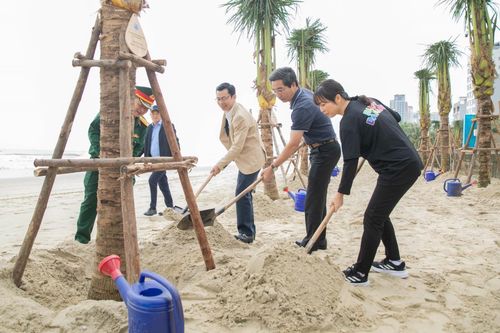 Đà Nẵng khởi động chiến dịch trồng hàng nghìn cây dừa dọc bãi biển