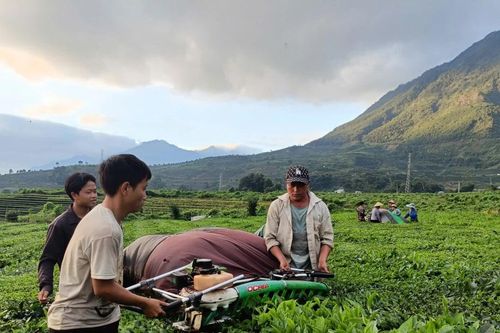 Tam Đường nâng cao thu nhập cho người dân từ đầu tư phát triển nông nghiệp