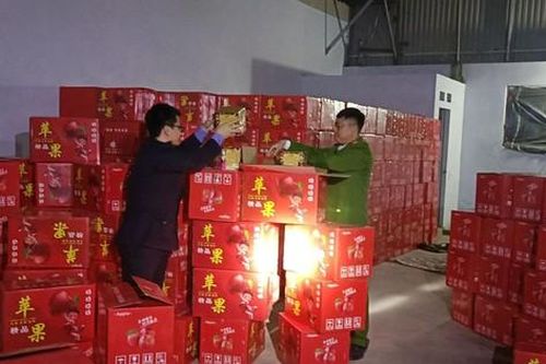 Khám xét khẩn cấp kho hàng, công an phát hiện 10 tấn pháo