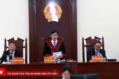 Xét xử trực tuyến hai vụ án về ma túy