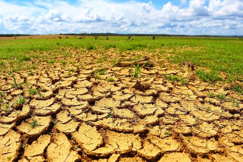 Việt Nam có 11,8 triệu ha đất đang bị sa mạc hóa