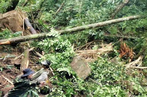 Quảng Nam công bố tình huống khẩn cấp tại ngôi làng có nhiều đá lăn do động đất