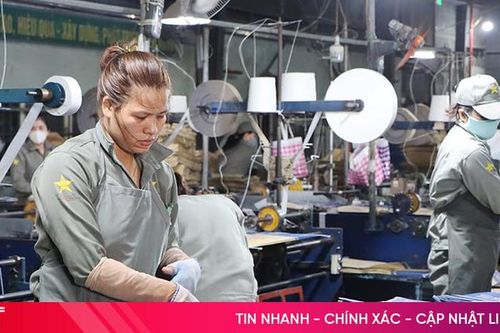 Hà Tĩnh gia hạn, miễn giảm hơn 2.500 tỷ đồng tiền thuế