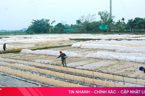 Nông dân Hà Tĩnh khẩn trương sản xuất vụ xuân 2025