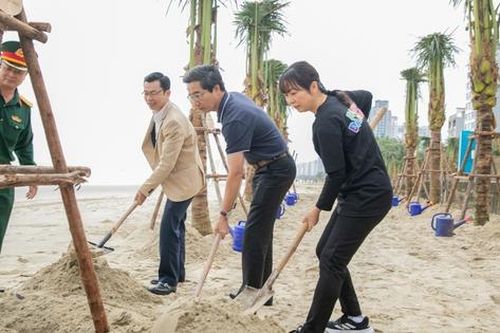 Đà Nẵng trồng hàng nghìn cây dừa tại các bãi biển để bảo vệ môi trường và phát triển du lịch