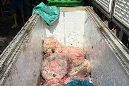 Phát hiện cơ sở chế biến cả tấn mỡ bò, gà bốc mùi hôi thối tại Đồng Nai