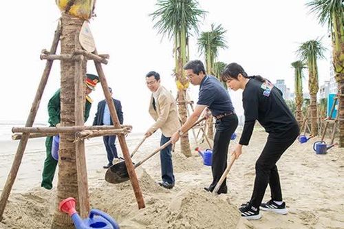 Hàng trăm cây dừa được trồng, bãi biển Đà Nẵng thêm sức sống