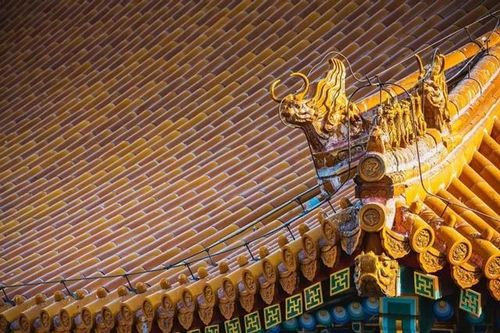 Tại sao chim không thể 'bén mảng' đến Tử Cấm Thành? Không phải mê tín mà có cơ sở khoa học!