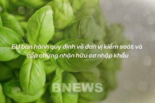 EU ban hành quy định về đơn vị kiểm soát và cấp chứng nhận hữu cơ nhập khẩu