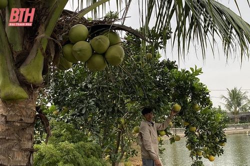 Những mô hình trang trại tuần hoàn khép kín cho thu nhập cao
