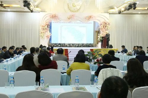 Nhiều giải pháp thiết thực trong quy hoạch, xây dựng điểm dân cư phòng tránh thiên tai