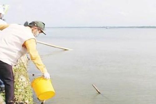 Chủ động phòng, chống rét cho vật nuôi
