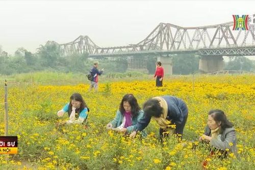 Giữ môi trường văn minh, sạch đẹp