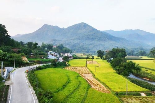 Đổi thay trên vùng quê cách mạng Tam Kim