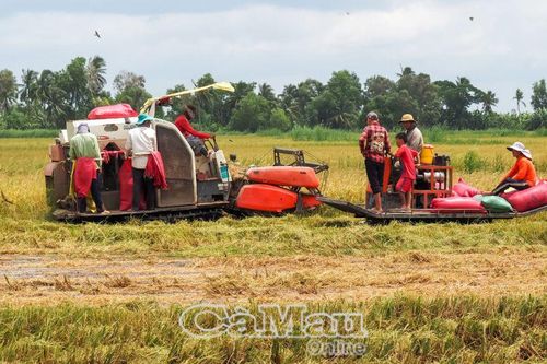 Giảm sức người, tăng hiệu quả