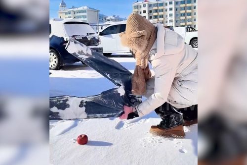 Người phụ nữ dùng quần jean đông cứng cắt đôi quả táo