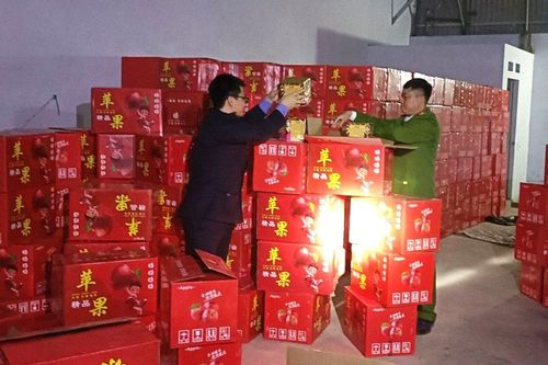 Bắt giữ hơn 11 tấn pháo nổ trong nhà kho tập kết hoa quả ở Bắc Giang
