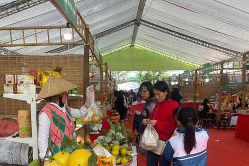 Tìm đầu ra cho cây ăn quả vụ cuối năm