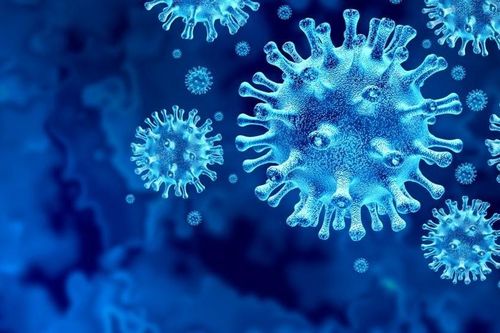 Tìm thấy hợp chất ức chế sự phát triển của virus corona