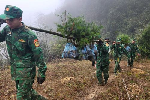 Phát động 'Vành đai xanh biên giới' và chăm lo Tết Ất Tỵ 2025 cho người dân biên giới Hà Giang