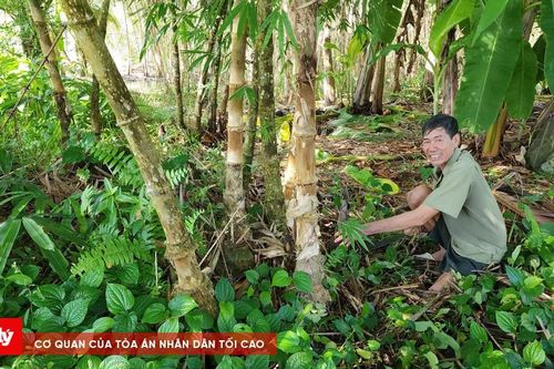 Chuyện về người thương binh 'tàn nhưng không phế'