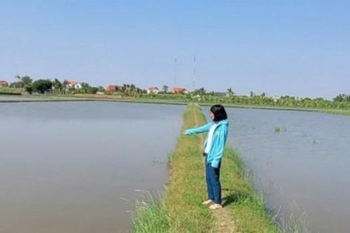 'Lộc trời' vắng bóng, nông dân 'vỡ mộng' làm giàu, ôm lỗ hàng tỷ đồng mỗi năm