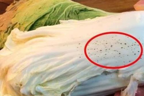 Những 'đốm đen' trên cải thảo không thể rửa sạch là gì? Nó có thể ăn được không?